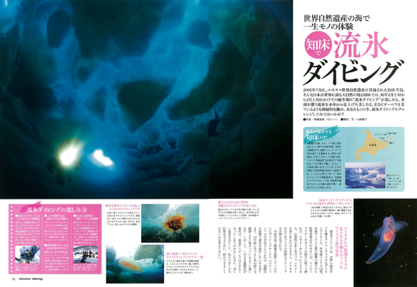 流氷ダイビング