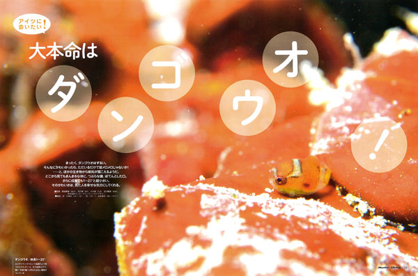 大本命はダンゴウオド