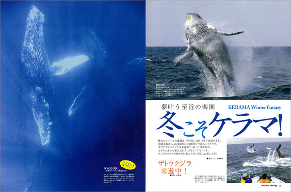 冬こそケラマ!