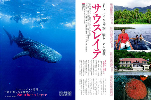 サウスレイテ