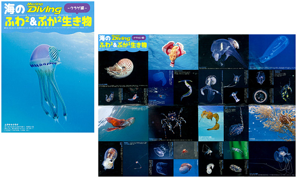 海の中のふわふわぷかぷかポスター