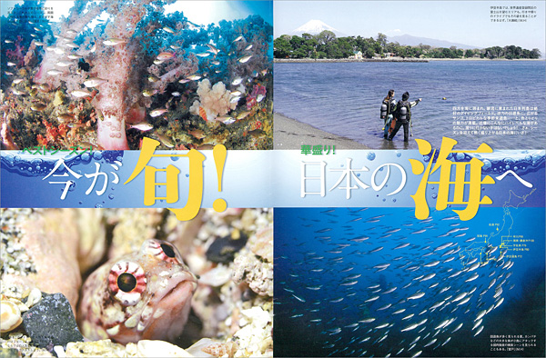 日本全国ダイビングシーズンIN!