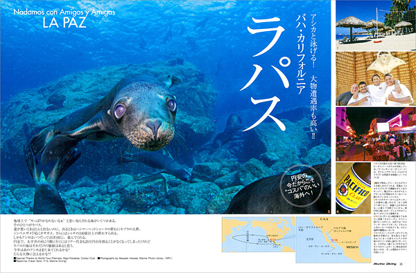 円安の今こそコスパのいい海外へ!アシカ天国 ラパス