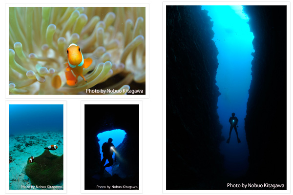 (右)たぶん本邦初公開!のNEWスポット「谷茶(たんちゃ)タワー」。ドロップオフ沿いに立ち上がる隠れ根と壁の間に恰好のクレバスがあって、地形もフィッシュウオッチングも楽しめる(左上段・下段左)恩納村で有名な「山田トウアカポイント」。何が有名って、1ダイブで日本に生息するクマノミがすべて見られるから。ちなみに同じ号ではクマノミの特集も掲載。秀逸です!(下段右)こちらもおそらく本邦初公開!「カピバラ」という何とも楽しそうなスポット名。リーフにできたトンネルが幻想的で、なおかつリーフの棚上は生物の宝庫!