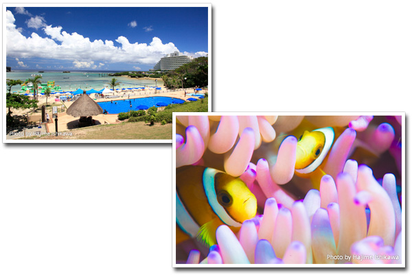 Part 2 まだ夏真っ盛り! 万座ビーチで海あそび