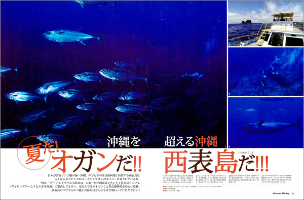 夏だ! オガンだ!! 西表島だ!!!