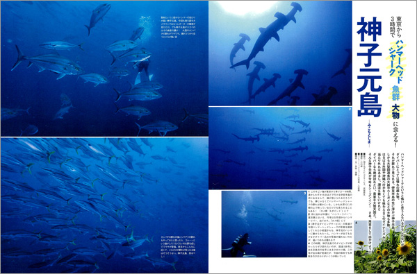 神子元島