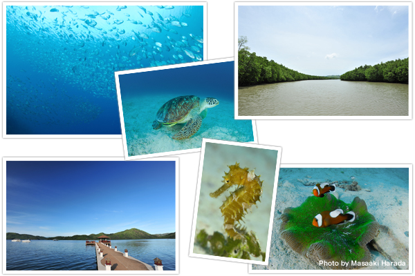 カラミアン諸島