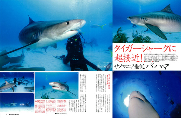 タイガーシャークに超接近! 驚異の海バハマ