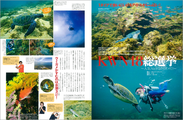 KWN(KaWaNa)48総選挙