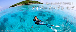ダイバーズヘブン セブ