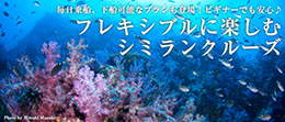 フレキシブルに楽しむ シミランクルーズ