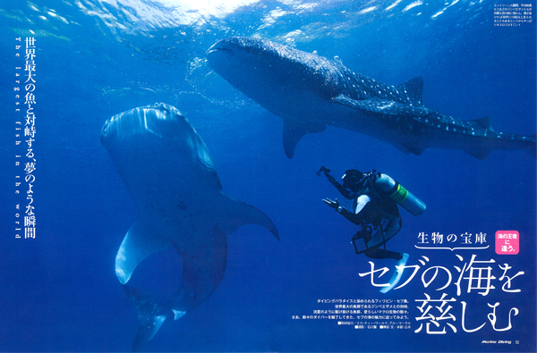 セブの海を慈しむ