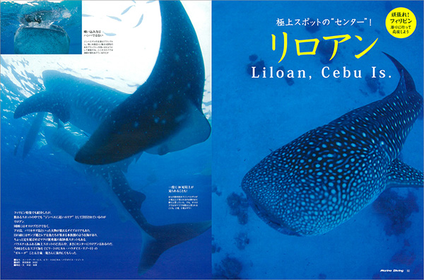 セブ・リロアン