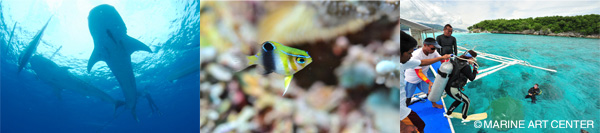 セブ・リロアン