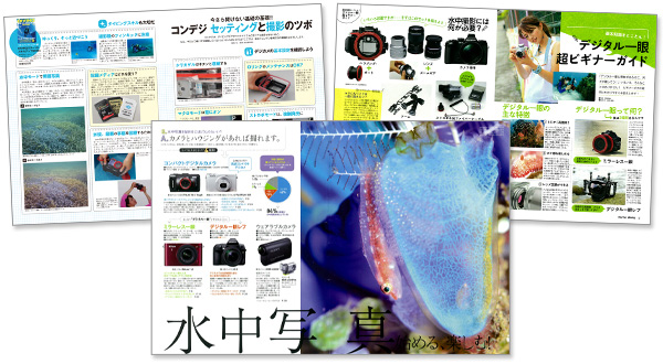 水中写真を、楽しむ