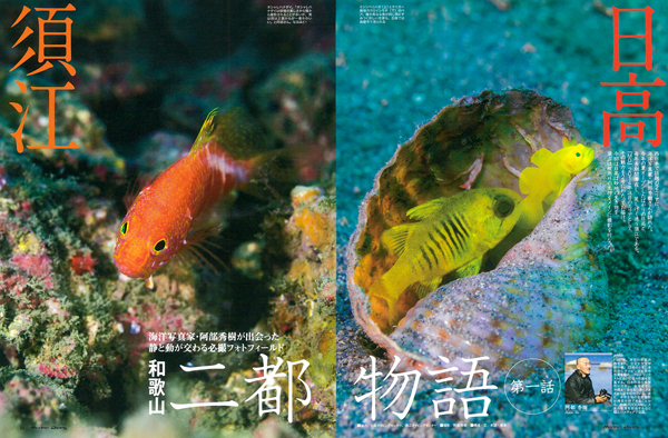 日高&須江