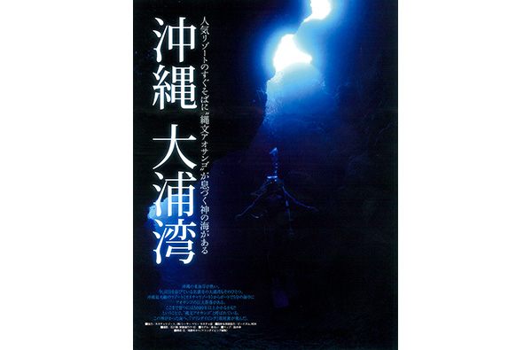 沖縄 大浦湾