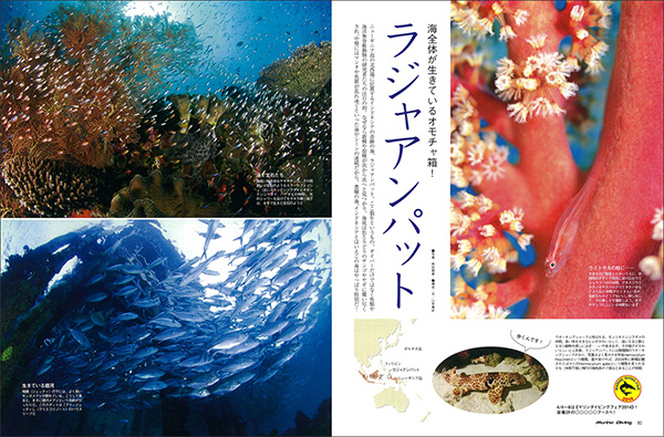 ラジャアンパット