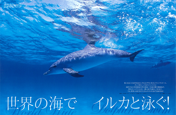 世界の海でイルカと泳ぐ!