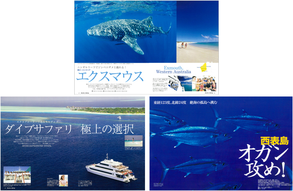 めくるめく大物の海