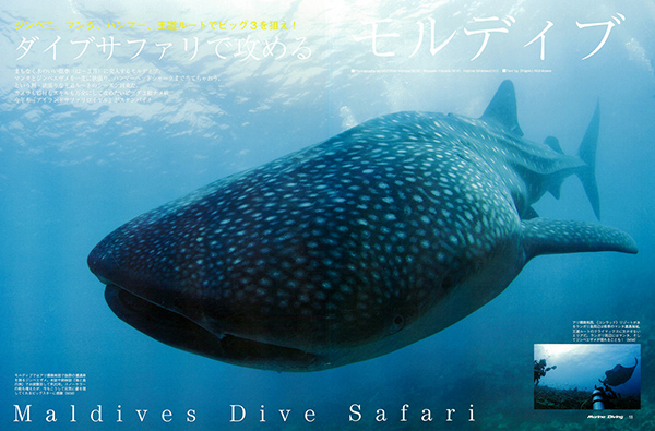 モルディブサファリ