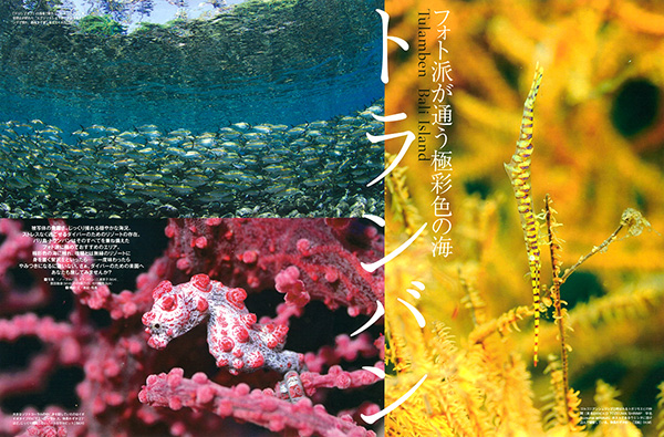 BALI トランバン