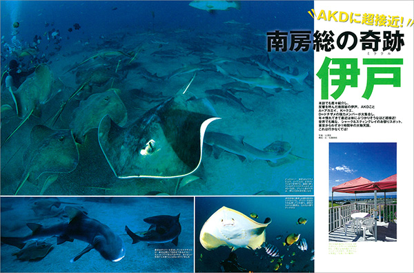 日本の“シャークパラダイス”伊戸の特集も掲載!