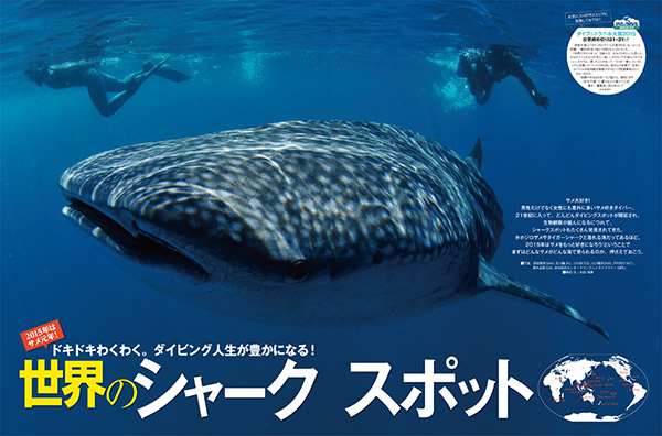 世界のシャークスポット