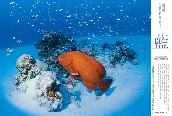 舘石昭生誕85周年記念グラフ 藍