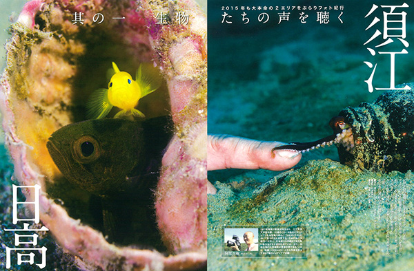 紀伊半島 須江&日高