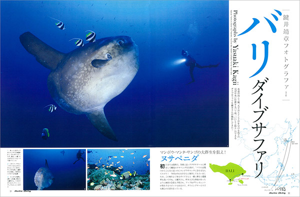バリ ダイブサファリ