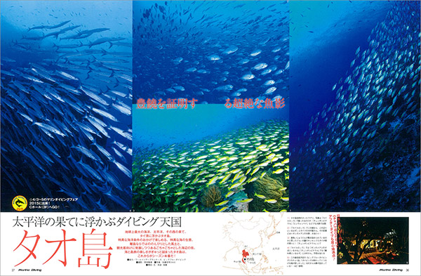 タオ島