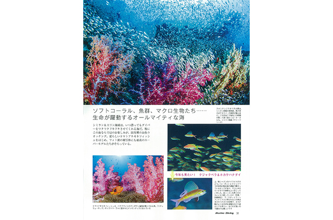 カオラックから行くシミランの海