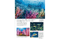 特集3