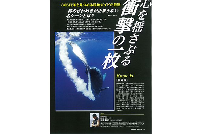 心を揺さぶる衝撃の一枚 2015