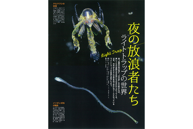 心を揺さぶる衝撃の一枚 2015