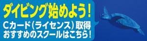 ダイビングを始める