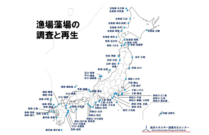 全国70ヶ所以上の藻場調査と再生活動