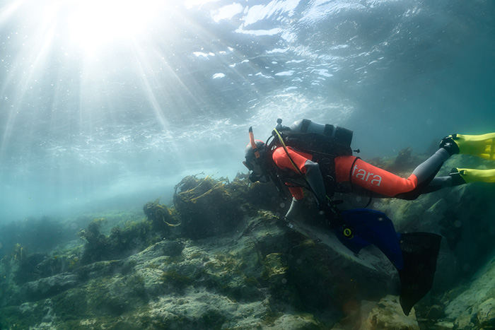 宮城県女川での潜水作業の模様 Photo by Tara Ocean Japan