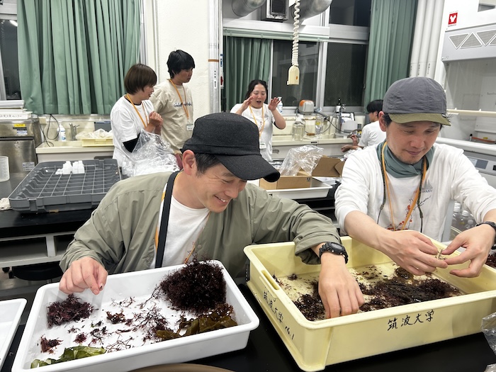 静岡県下田で採取した海藻を種別にソーティングするアーティストたち。海藻を観察できることから、この作業は同行するアーティストが手伝う。海藻はその後、重量測定や炭素同位体分析、分解実験のため研究所に送られる Photo by Tara Ocean Japan