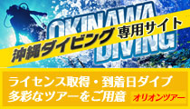 オリオン