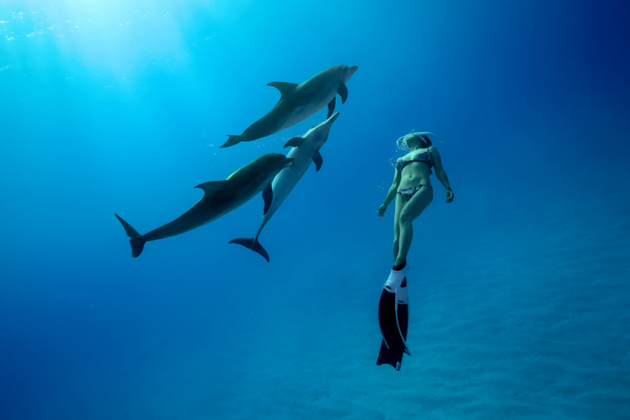 2023年6月 バハマ・ビミニ諸島 Photo by JUN HASEGAWA