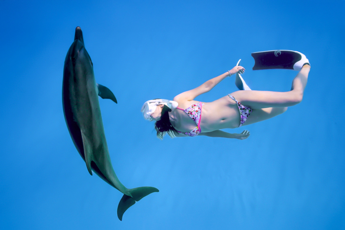 2023年6月 バハマ・ビミニ諸島 Photo by JUN HASEGAWA