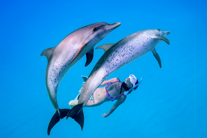 2023年6月 バハマ・ビミニ諸島 Photo by JUN HASEGAWA