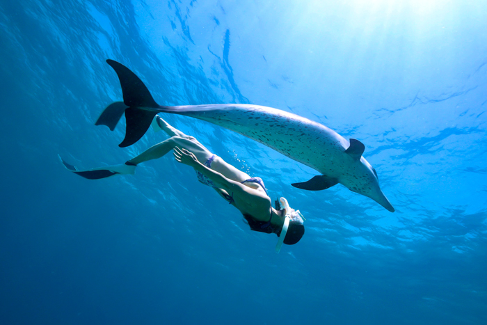 2024年6月 バハマ・ビミニ諸島 Photo by JUN HASEGAWA
