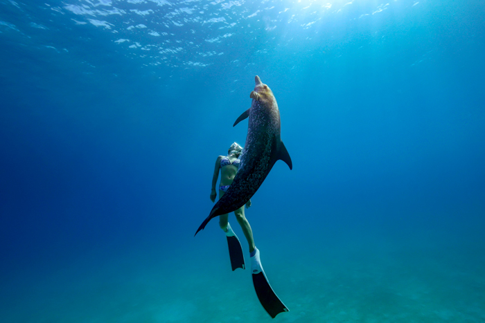 2023年6月 バハマ・ビミニ諸島 Photo by JUN HASEGAWA