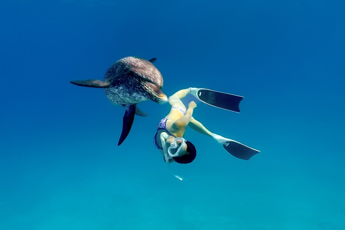 2023年6月 バハマ・ビミニ諸島 Photo by JUN HASEGAWA