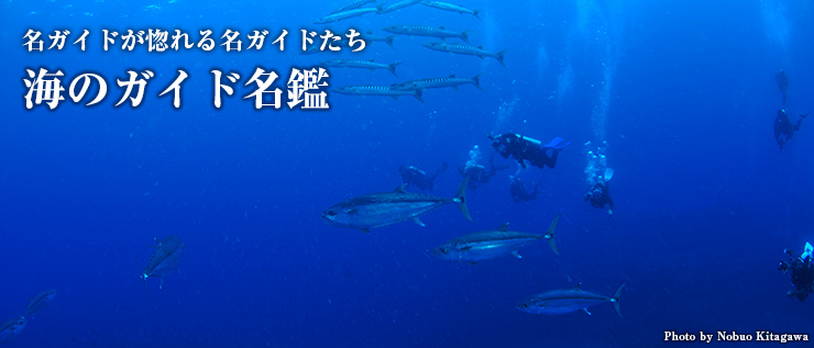 名ガイドが惚れる名ガイドたち 海のガイド名鑑
