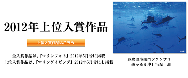 2012年上位入賞作品